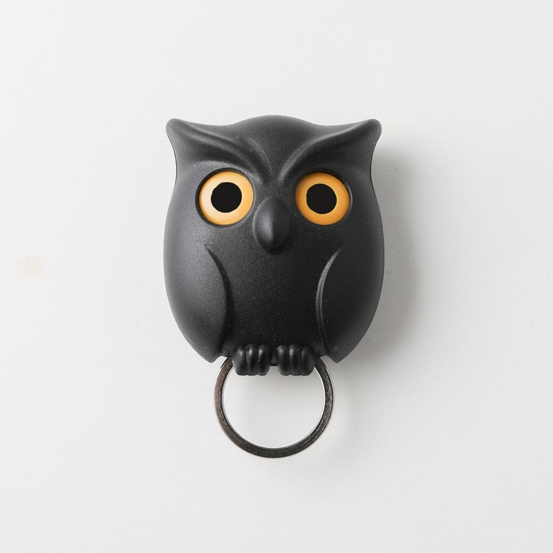 owl key holder for wall