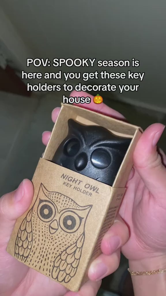 owl key holder