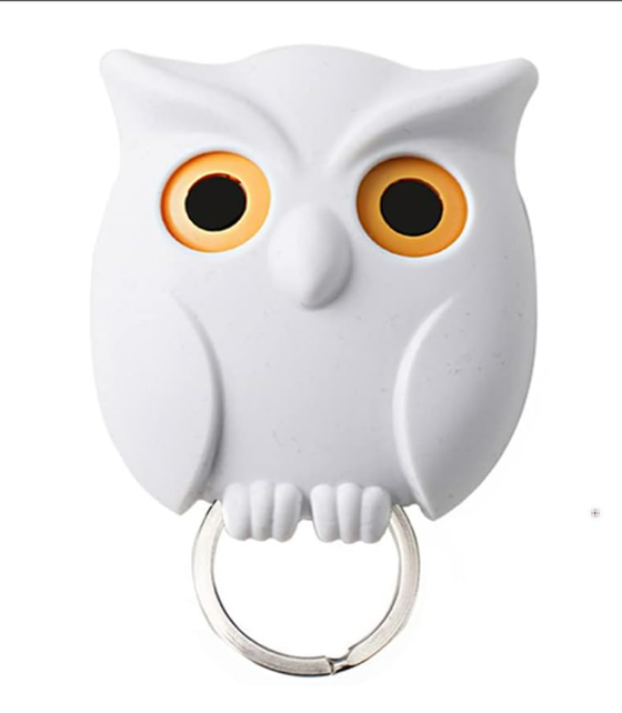 Owl Key Holder for Halloween