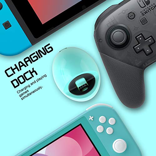 Nintendo Switch lite Charger - Green